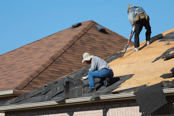 Best Solar Panel Roofing Installation  in Mccla, AL