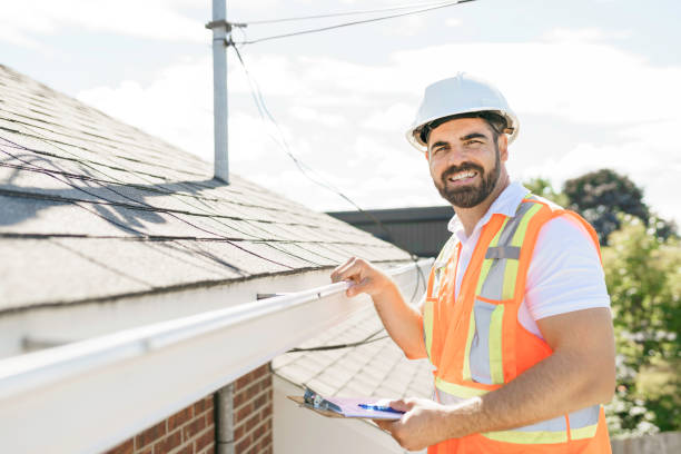 Best Roof Moss and Algae Removal  in Mccla, AL